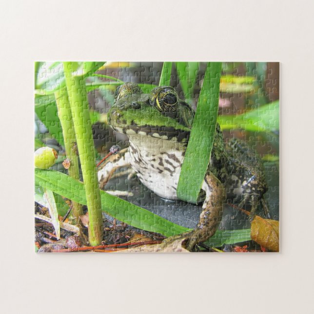Puzzle de grenouille Extraordinaire (Horizontal)