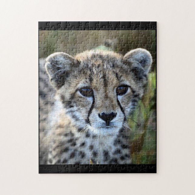 Puzzle de guépard de bébé (Vertical)