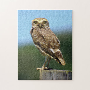 Puzzle de Hibou des terriers rapace