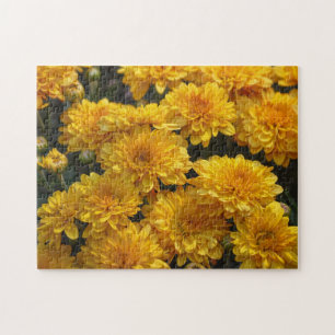 Puzzle de jardin aux fleurs de Mums jaunes