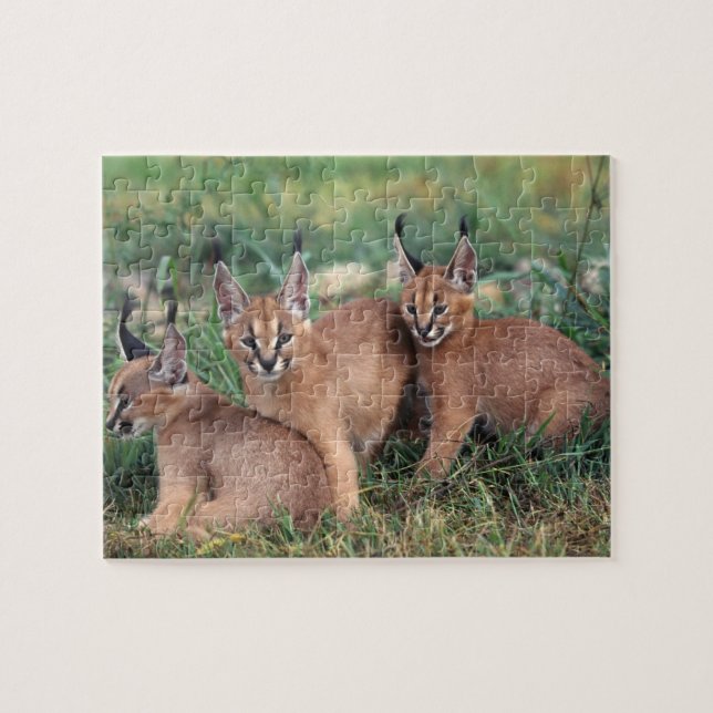 Puzzle de jeu de Caracals (Horizontal)