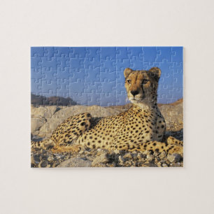 Puzzle de jeu de guépard