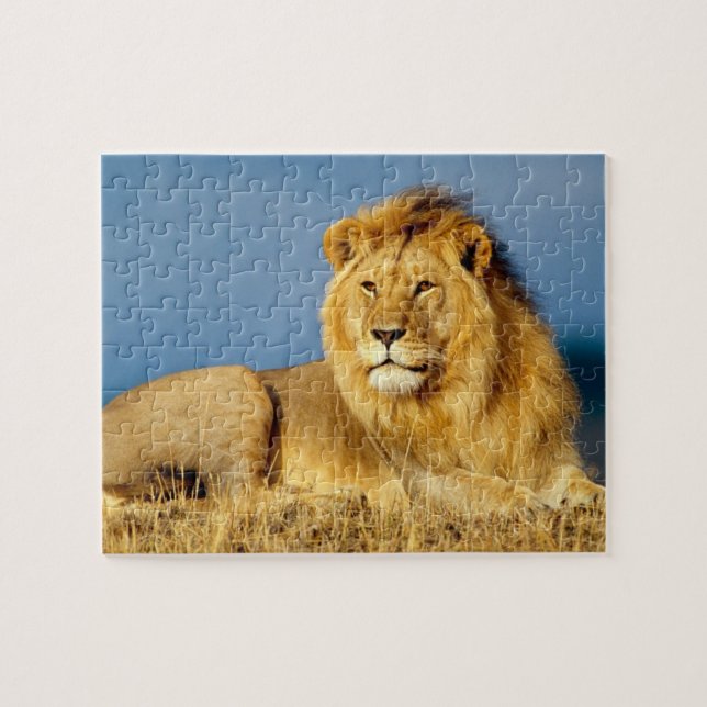 Puzzle de jeu de Lion (Horizontal)