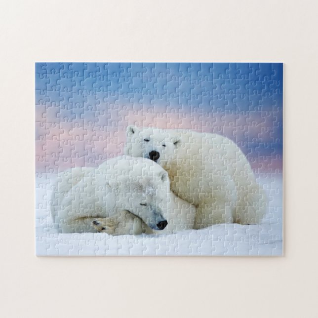 Puzzle de jeu des ours polaires (Horizontal)