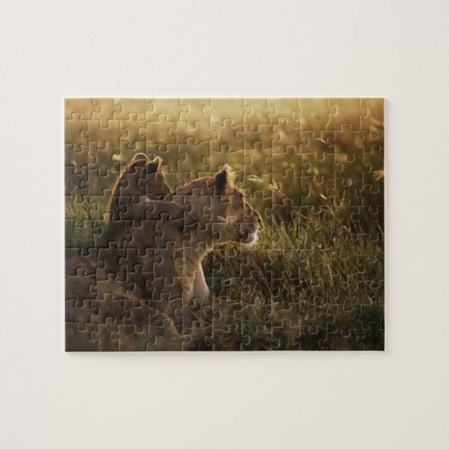 Puzzle de jeu Lion & Cub (Horizontal)