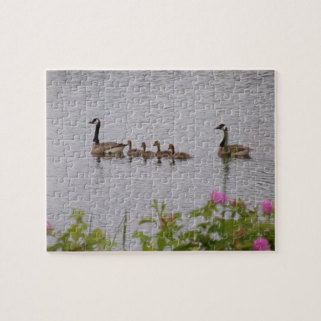 Puzzle de la famille canadienne des oies (Horizontal)