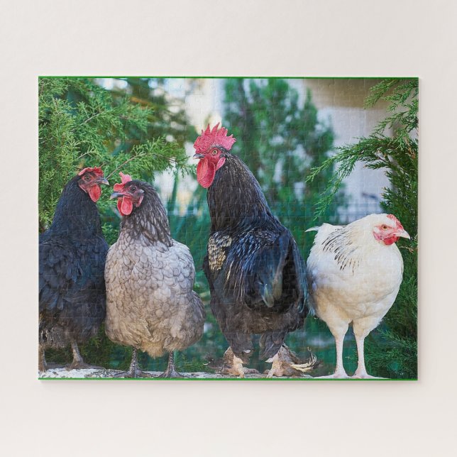 Puzzle de la famille Rooster (Horizontal)