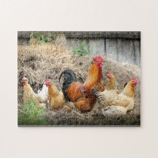Puzzle de la famille Rooster (Horizontal)