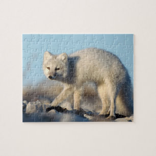 Puzzle de la faune