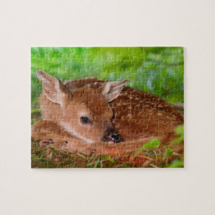 Puzzle de la faune
