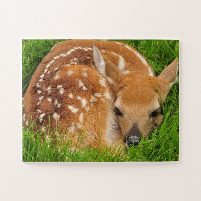 Puzzle de la faune - Cerf de bébé (Horizontal)