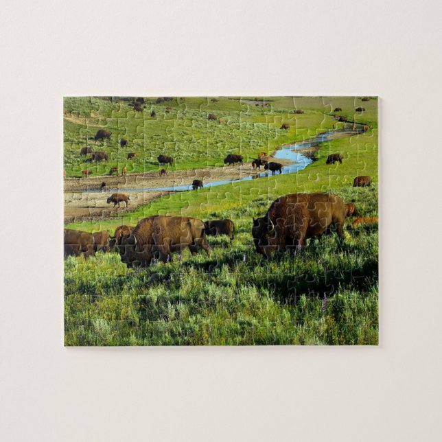 Puzzle de la faune - Puzzle de Buffalo (Horizontal)
