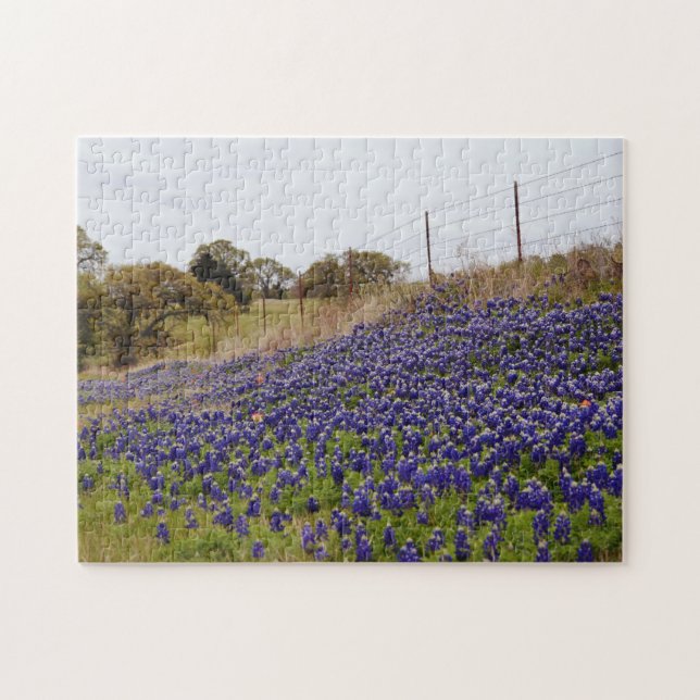 Puzzle de la ferme de fleurs bleues du Texas Blueb (Horizontal)