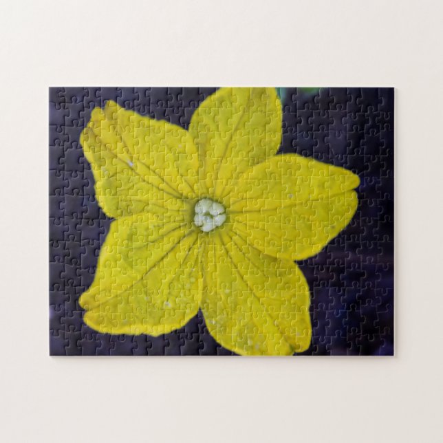 Puzzle de la fleur de concombre (Horizontal)