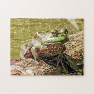 Puzzle de la grenouille taureau