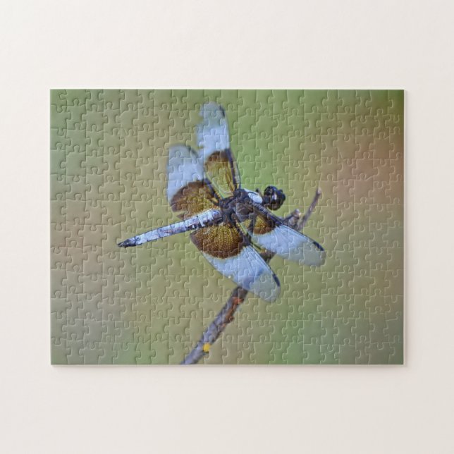 Puzzle de la nature de la libellule bleue et Brown (Horizontal)