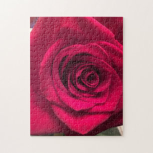 Puzzle de la Rose Rouge