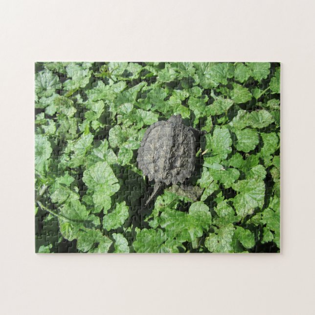 Puzzle de la tortue des bébés (Horizontal)