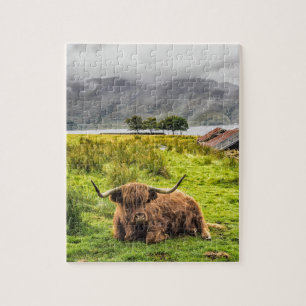 Puzzle de la vache Highland