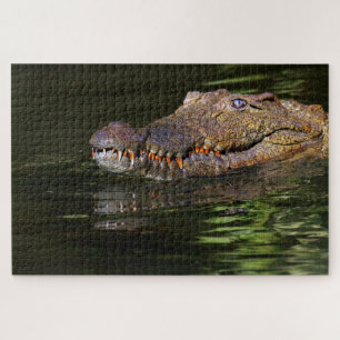 Puzzle de l'alligator
