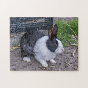 Puzzle de lapin