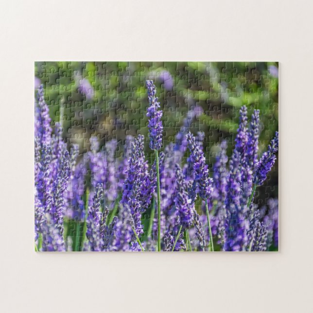Puzzle de lavande (Horizontal)