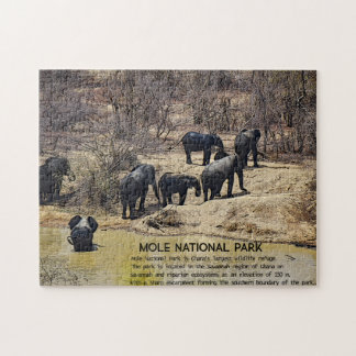 Puzzle de l'éléphant africain