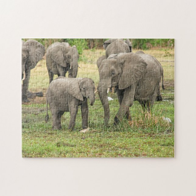 Puzzle de l'éléphant mère et bébé (Horizontal)