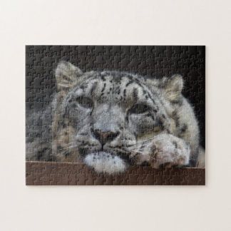 Puzzle de léopard de neige