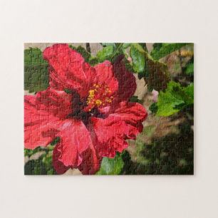 Puzzle de l'Hibiscus rouge
