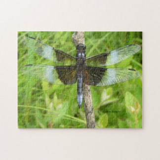 Puzzle de libellule