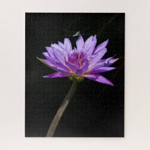 Puzzle de libellule violette Nénuphar