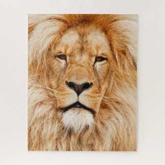 Puzzle de Lion Face