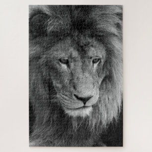 puzzle de lion mâle