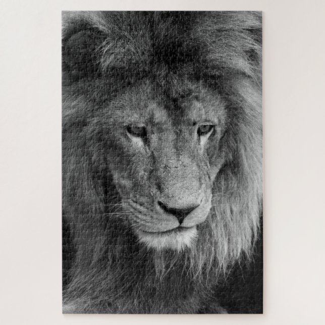 puzzle de lion mâle (Vertical)
