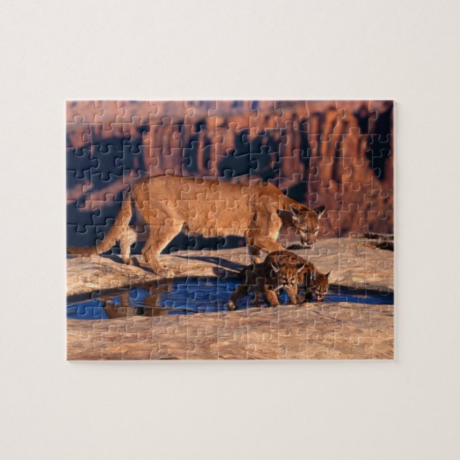 Puzzle de Lion Mountain (Horizontal)
