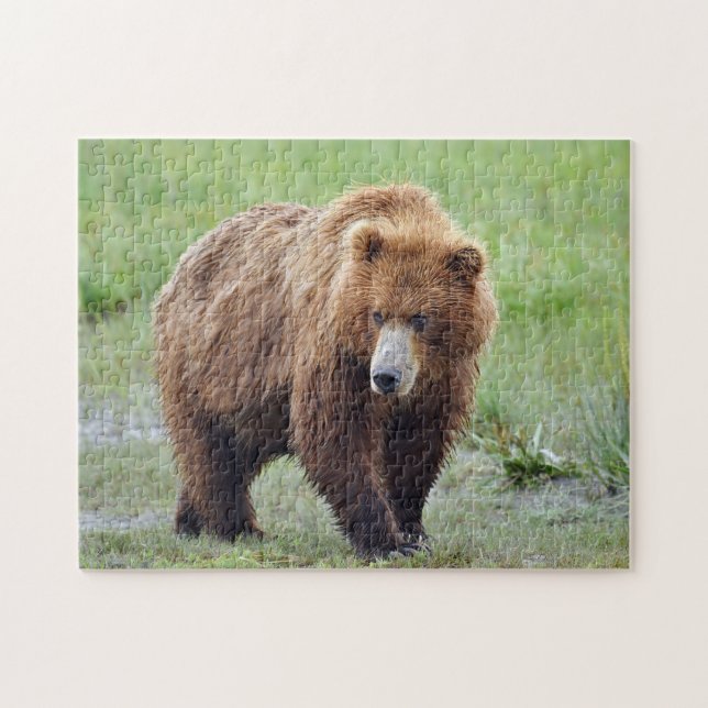 Puzzle de l'ours grizzli (Horizontal)