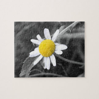 Puzzle de marguerite