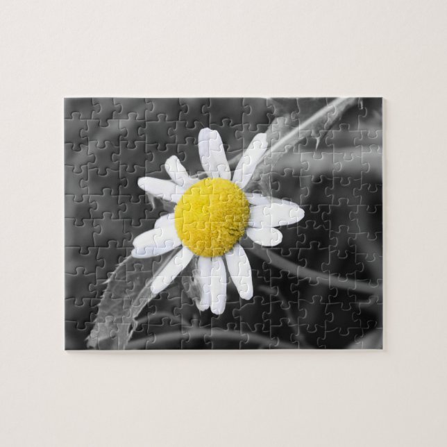 Puzzle de marguerite (Horizontal)