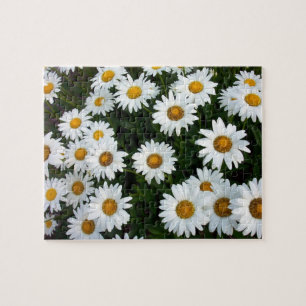 Puzzle de marguerite