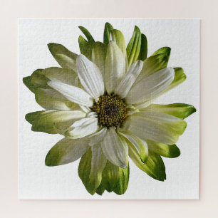Puzzle de marguerite verte