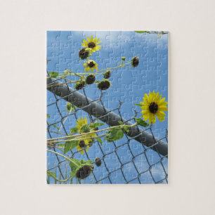 Puzzle de marguerites d'été