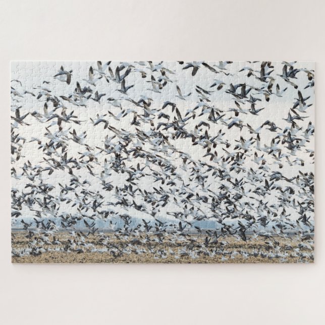 Puzzle de migration de printemps (Horizontal)