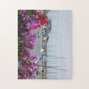 Puzzle de Monterey Bay