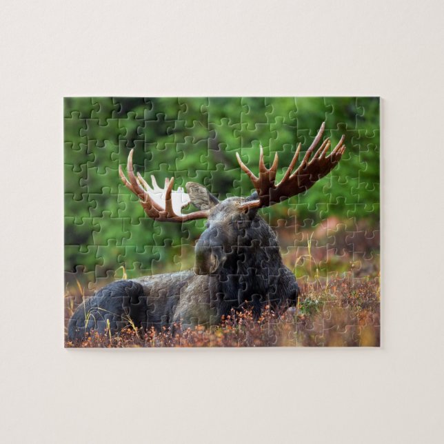 Puzzle de Moose Jigsaw (Horizontal)