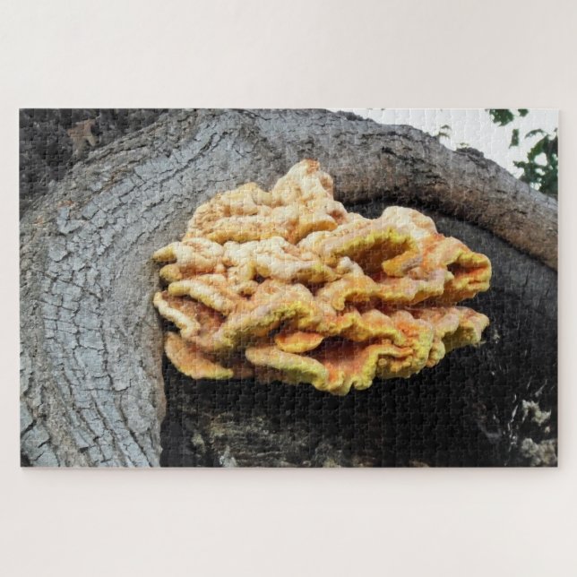 Puzzle de mycélium de Poulet de Bois Géant (Horizontal)