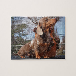 Puzzle de Nephele de teckels d'Eridox