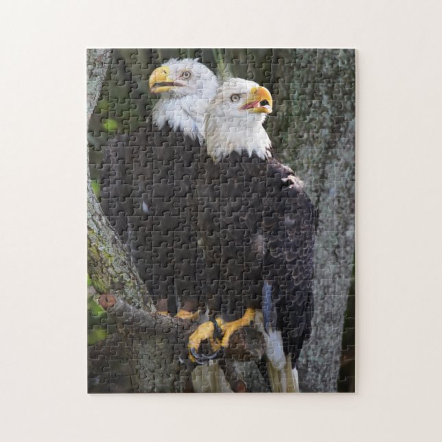 Puzzle de paires d'Eagle chauve (Vertical)