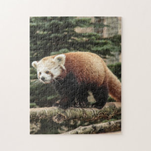 Puzzle de Panda