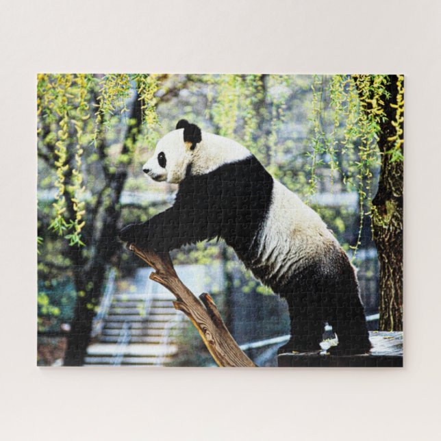 Puzzle de Panda (Horizontal)